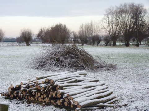 Kruidenboerderij weide winter